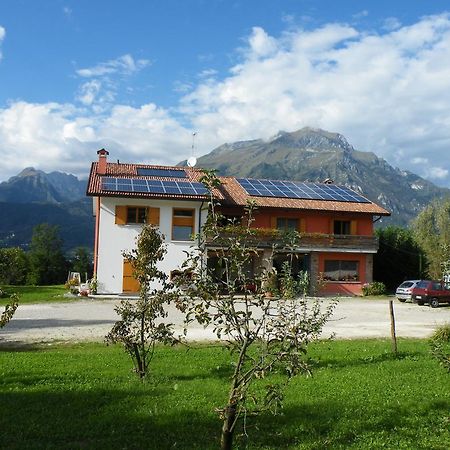 Agriturismo Al Bachero Belluno Exteriér fotografie