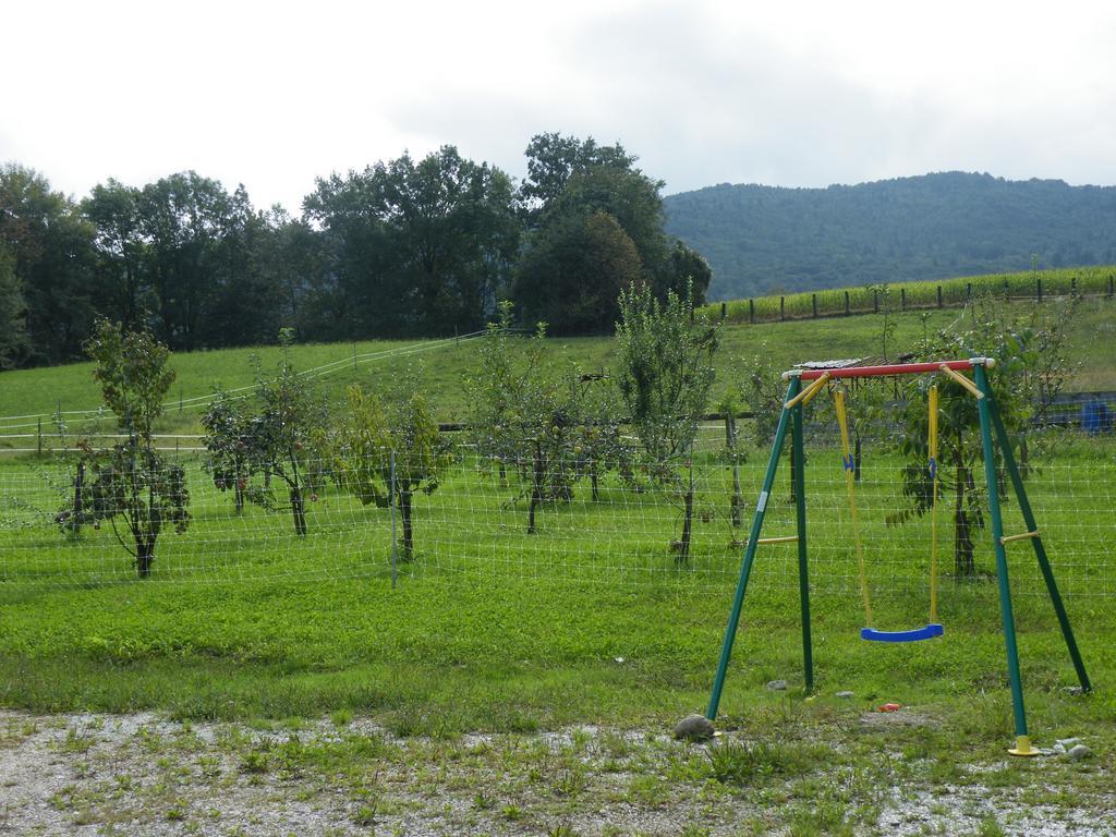 Agriturismo Al Bachero Belluno Exteriér fotografie