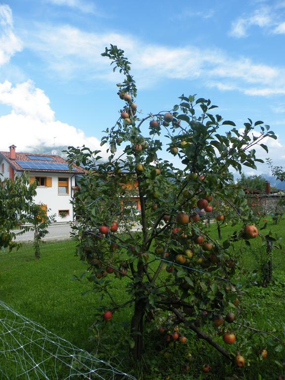 Agriturismo Al Bachero Belluno Exteriér fotografie