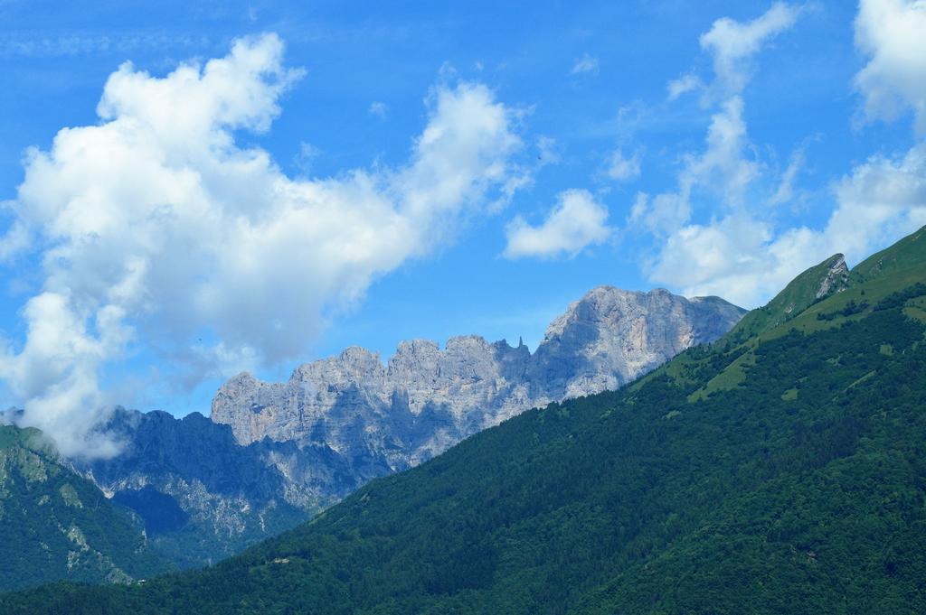 Agriturismo Al Bachero Belluno Exteriér fotografie